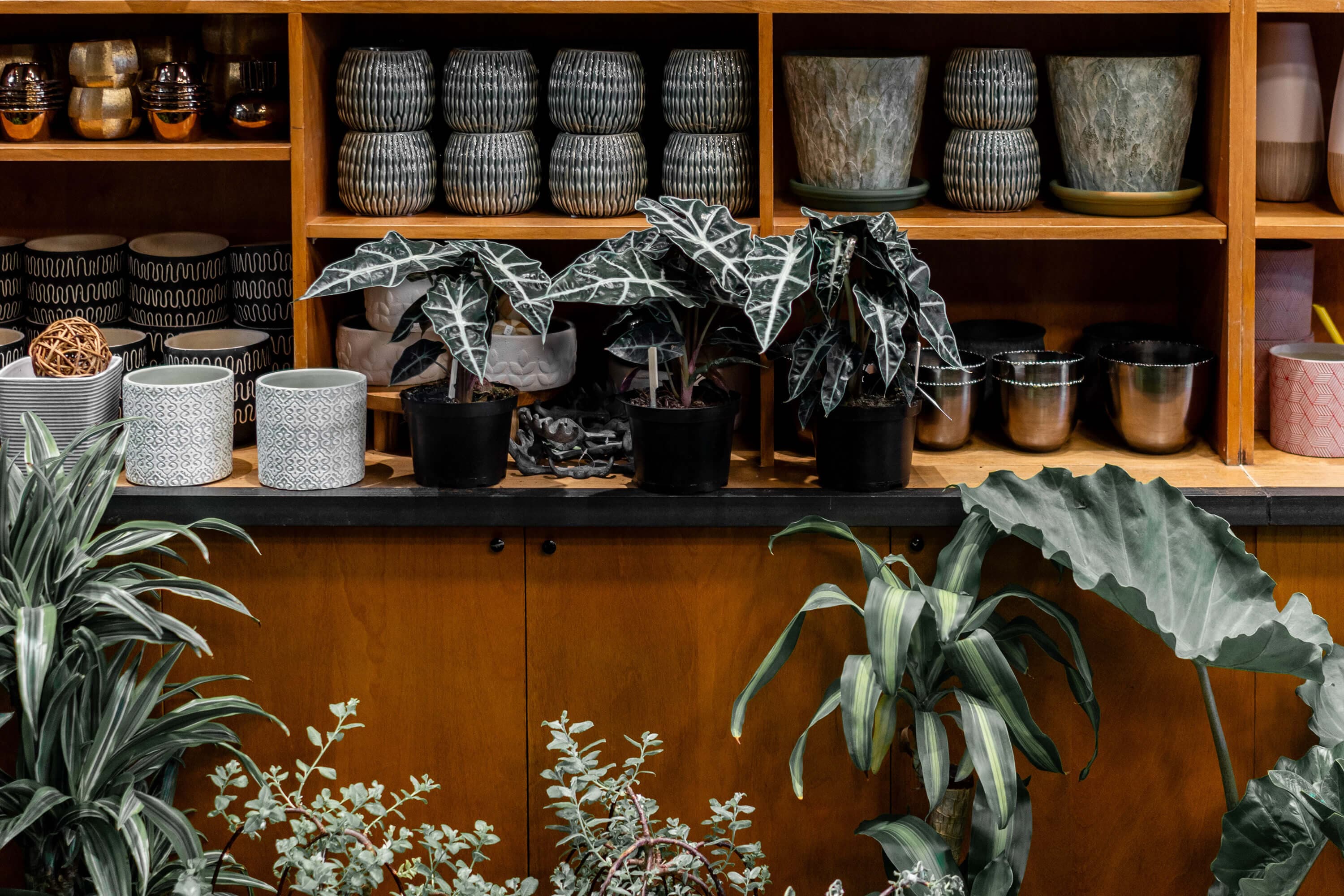 Fleuriste Zen le pouvoir des fleurs