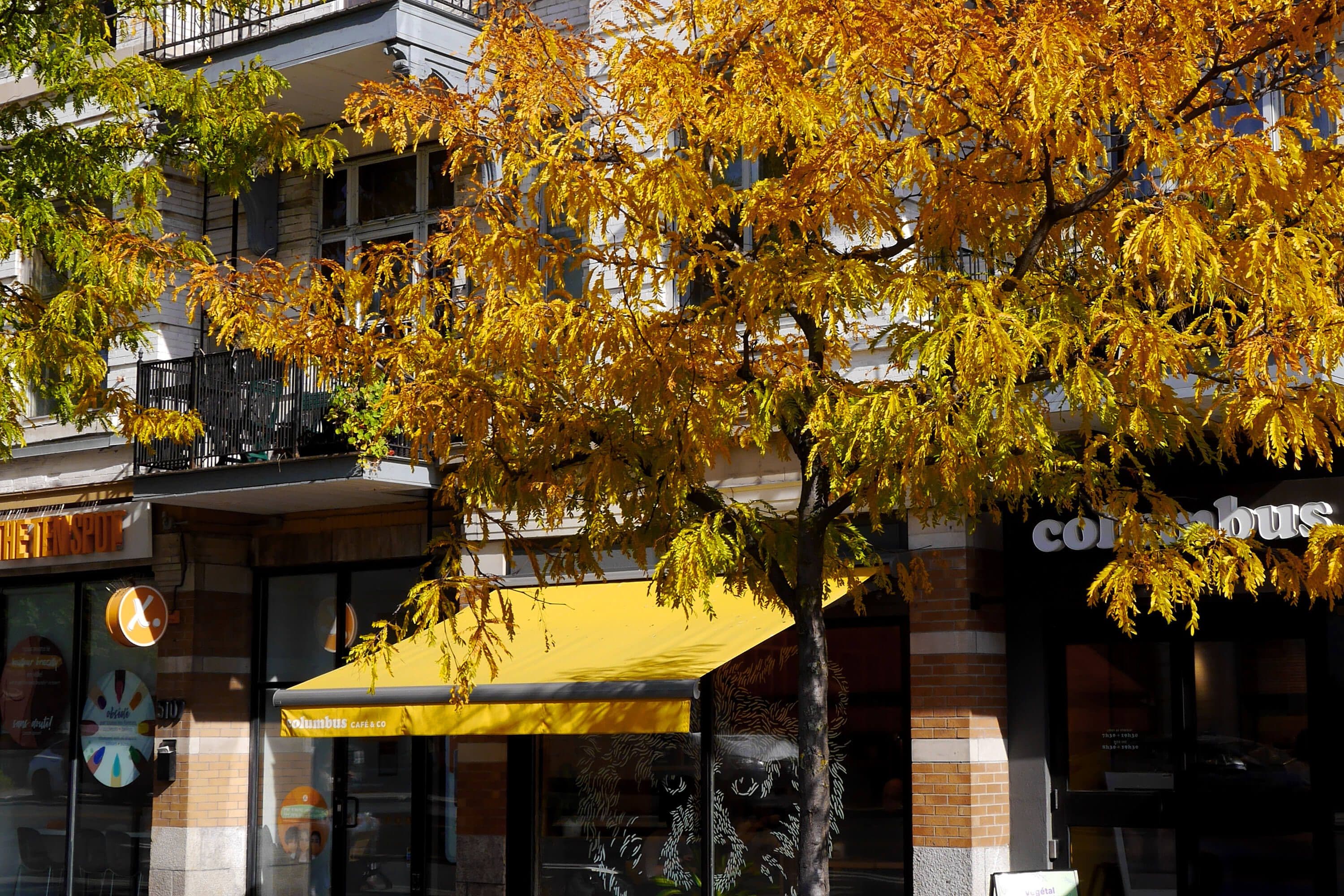 Columbus Café
